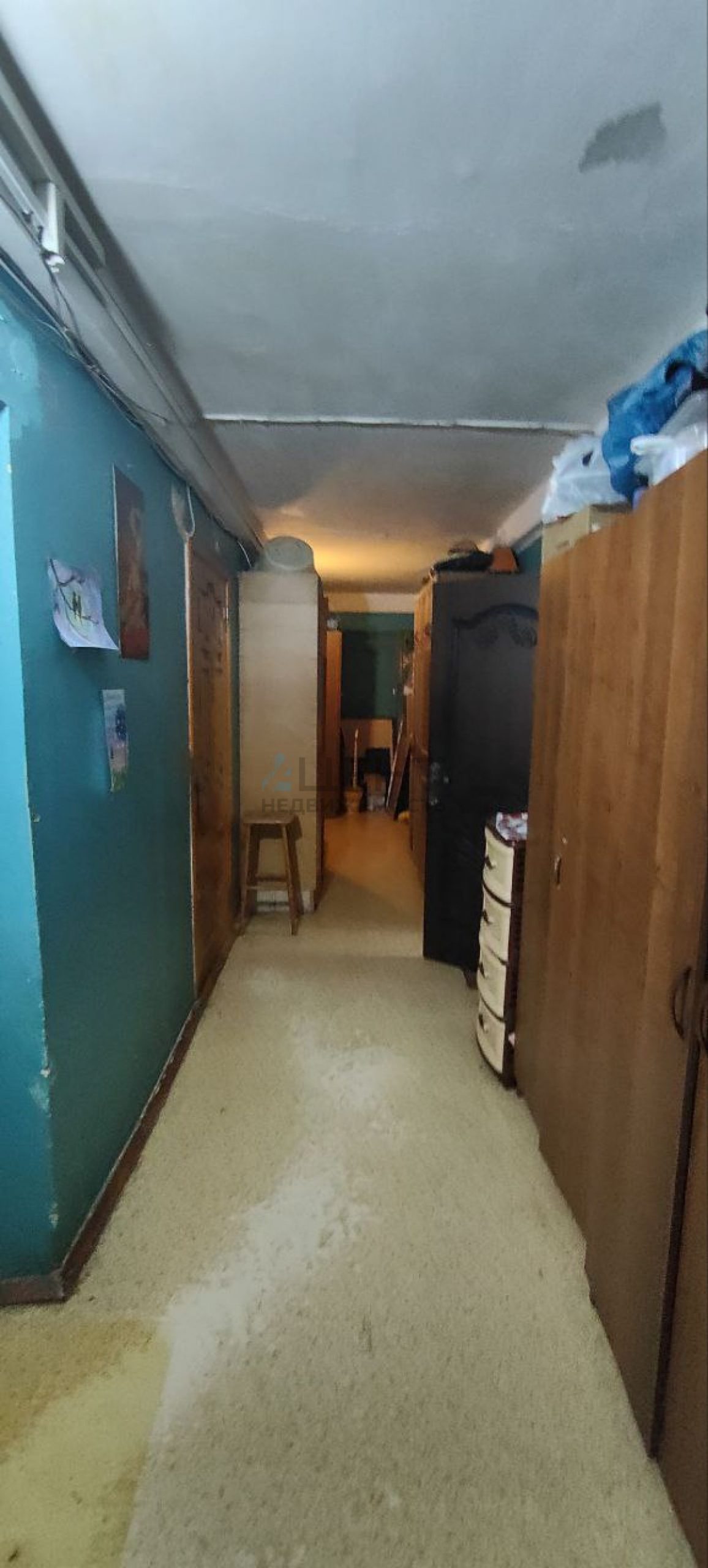 65cf2e334db7e.jpg