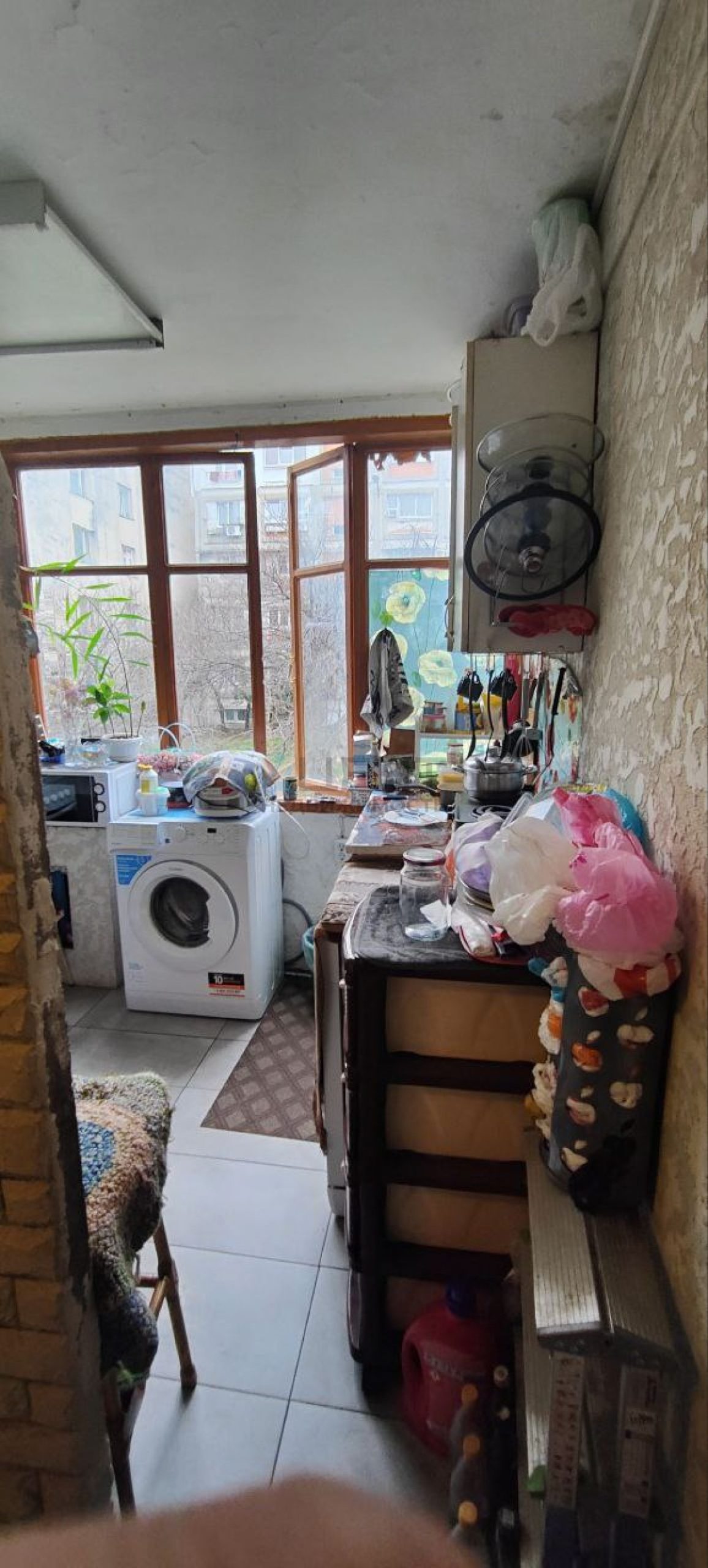 65cf2e351332d.jpg