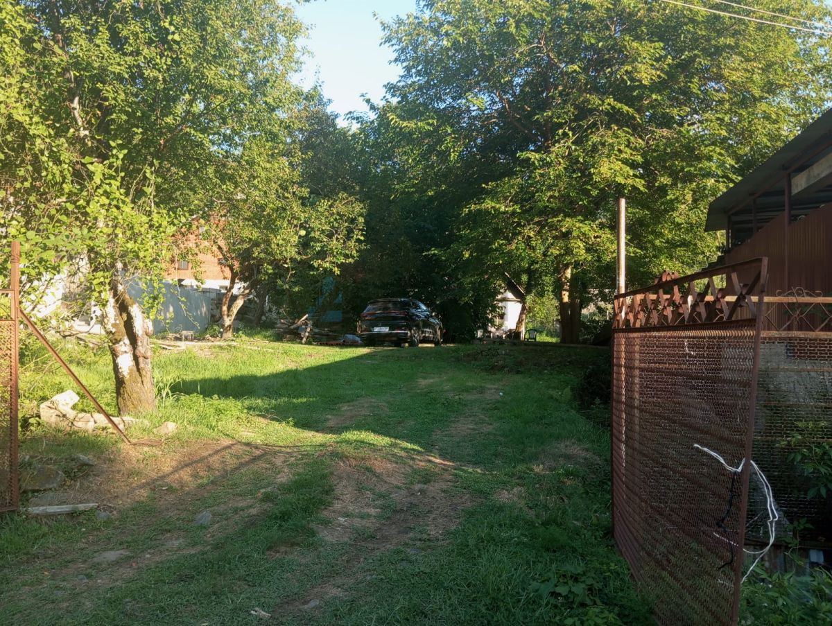 66b5bb8449968.jpg