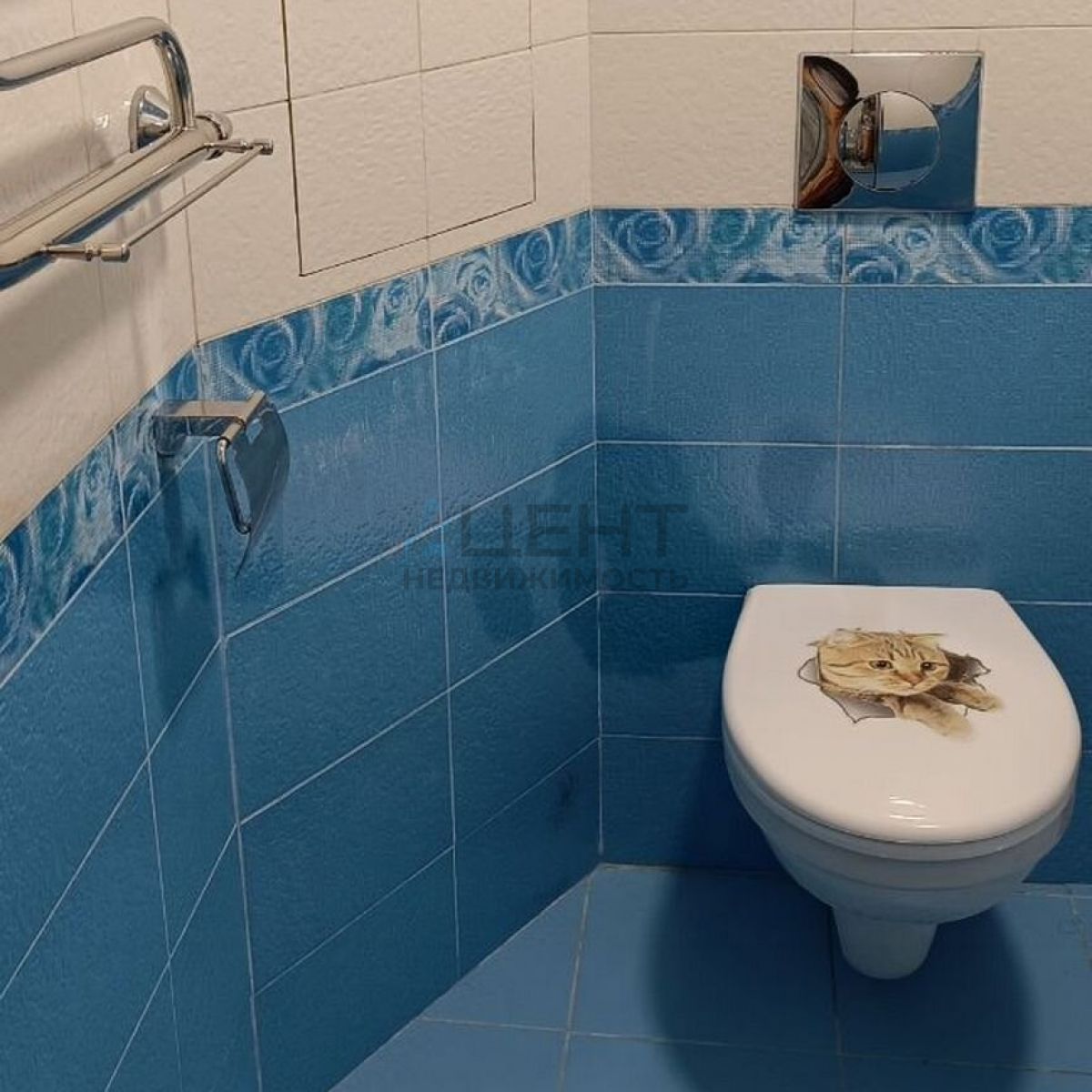 67a22a528dd2b.jpg