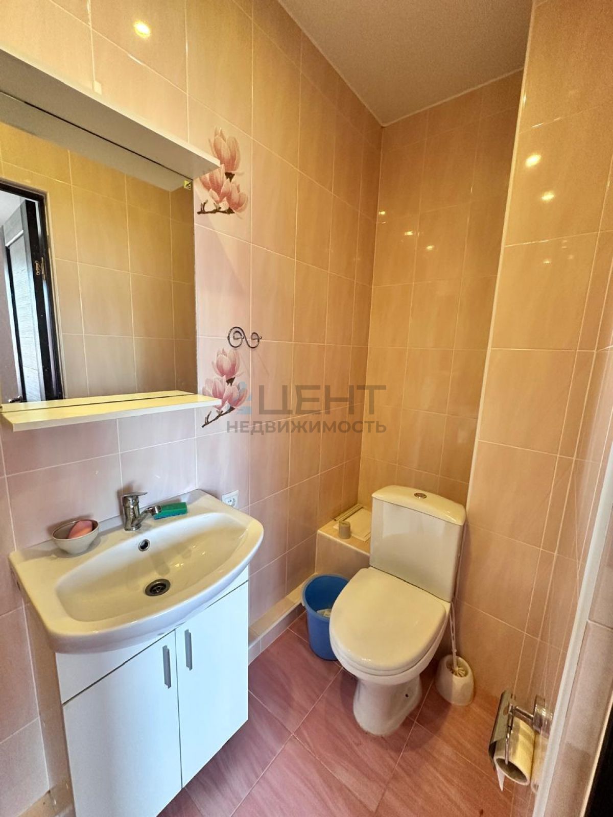 67e13675d2242.jpg
