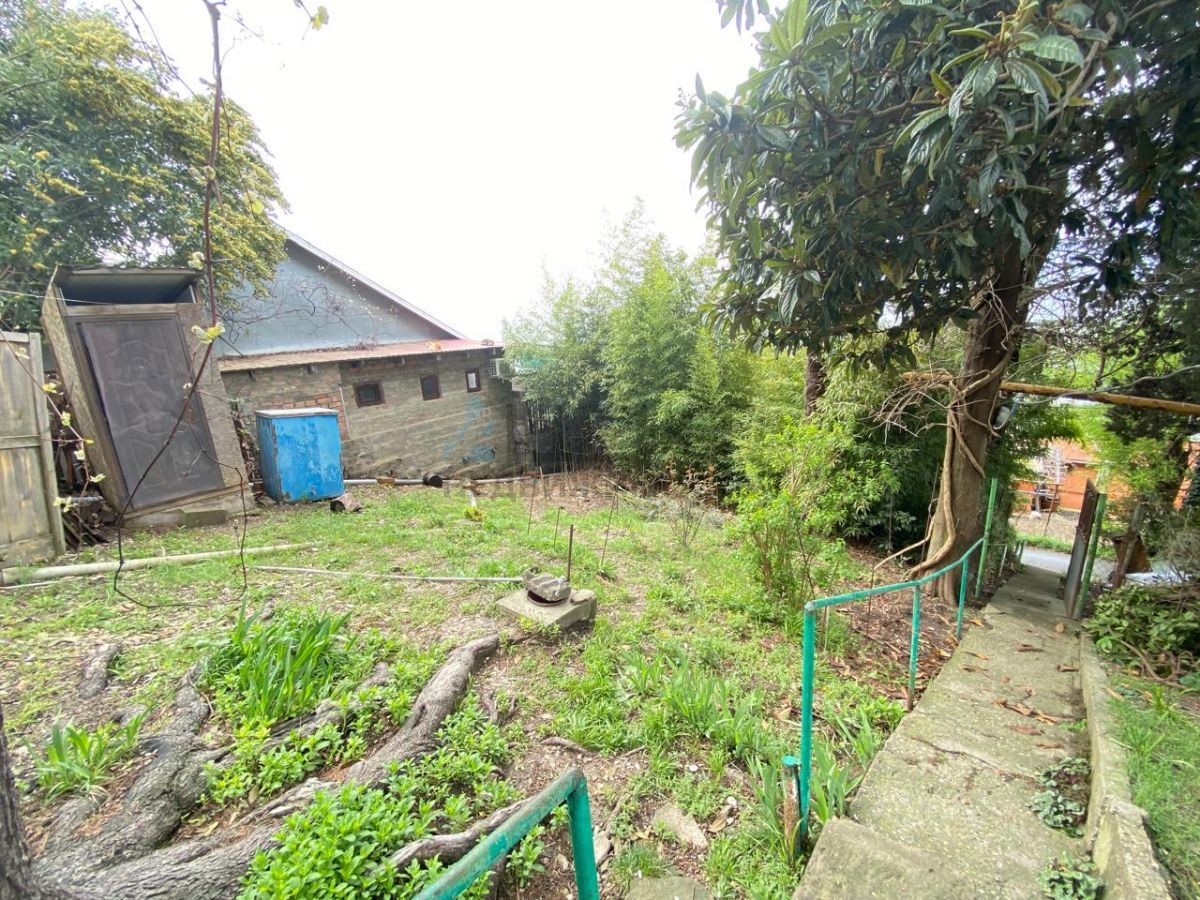 67f3bf2777b83.jpg