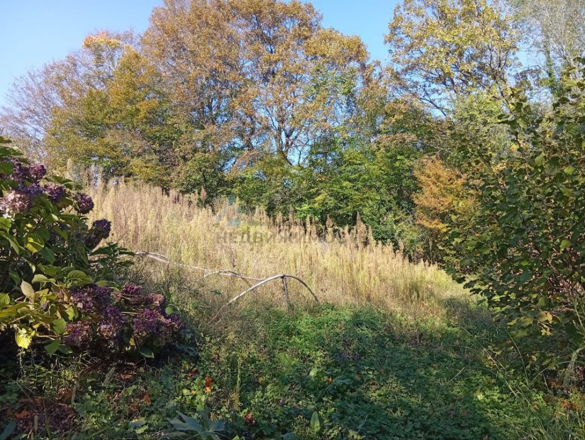 690d8e8d80463.jpg