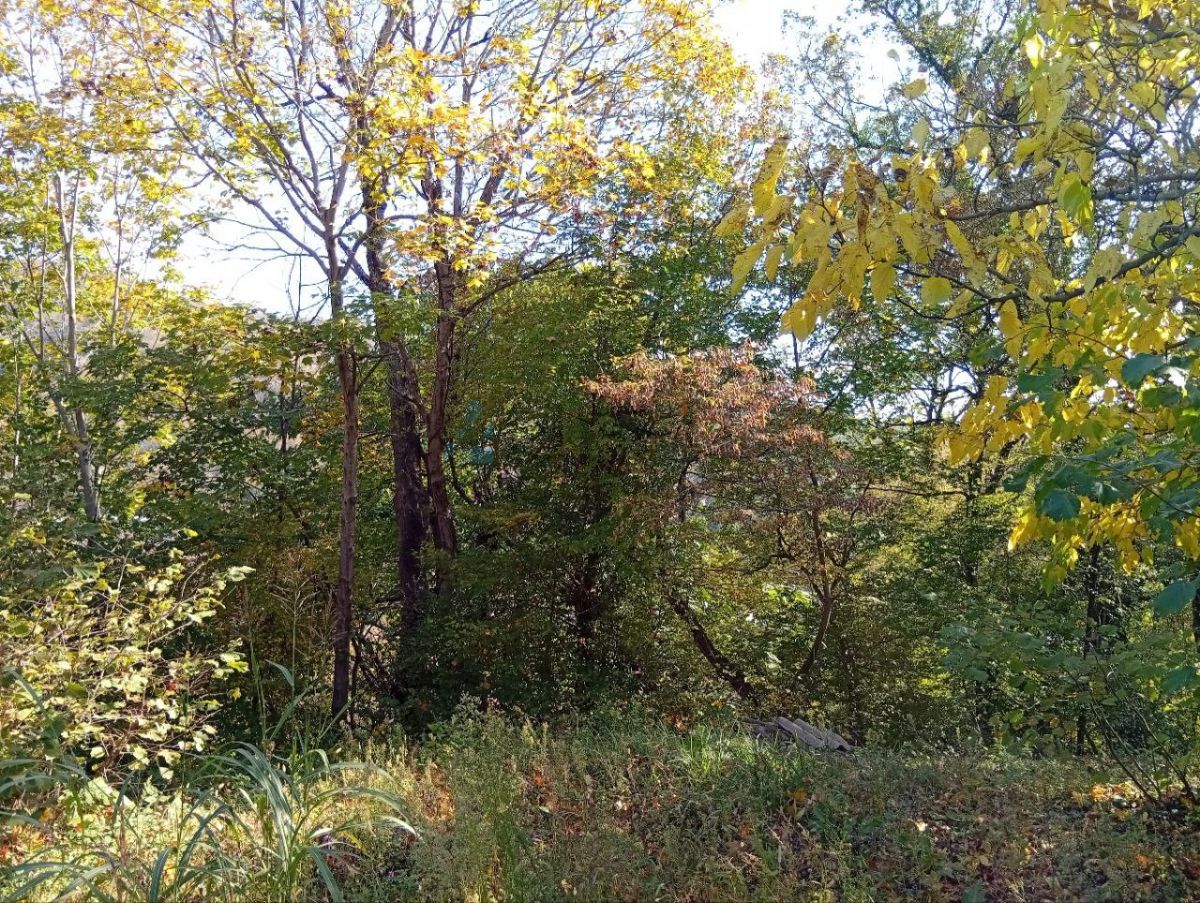 690d8e8d84678.jpg