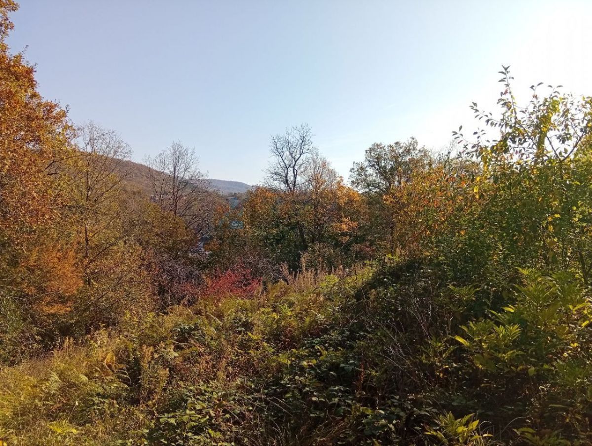 690d8e8d98506.jpg