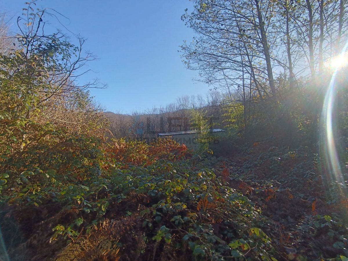 6931950ca218f.jpg