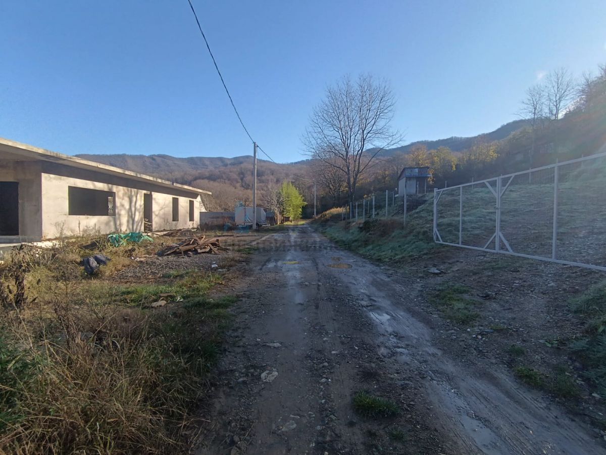 6931950e06200.jpg