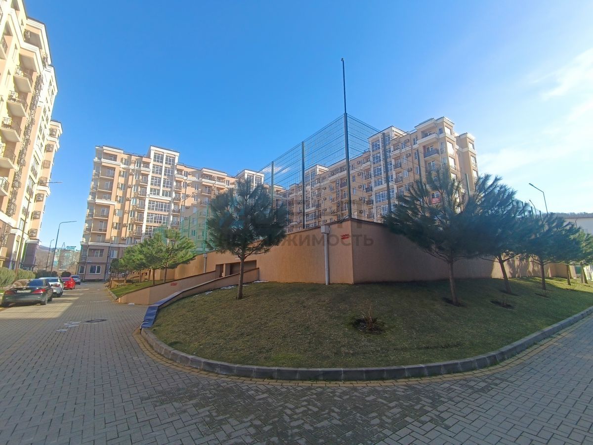 696e223128743.jpg