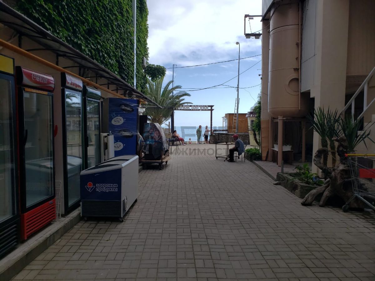 66bb5fd4862ee.jpg