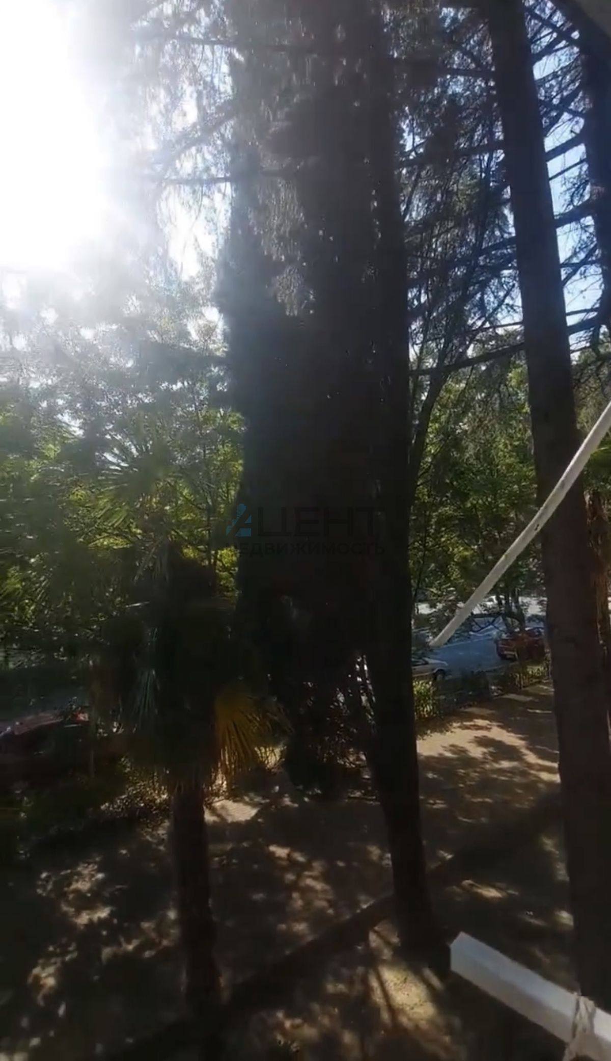 6a475571cd77b.jpeg