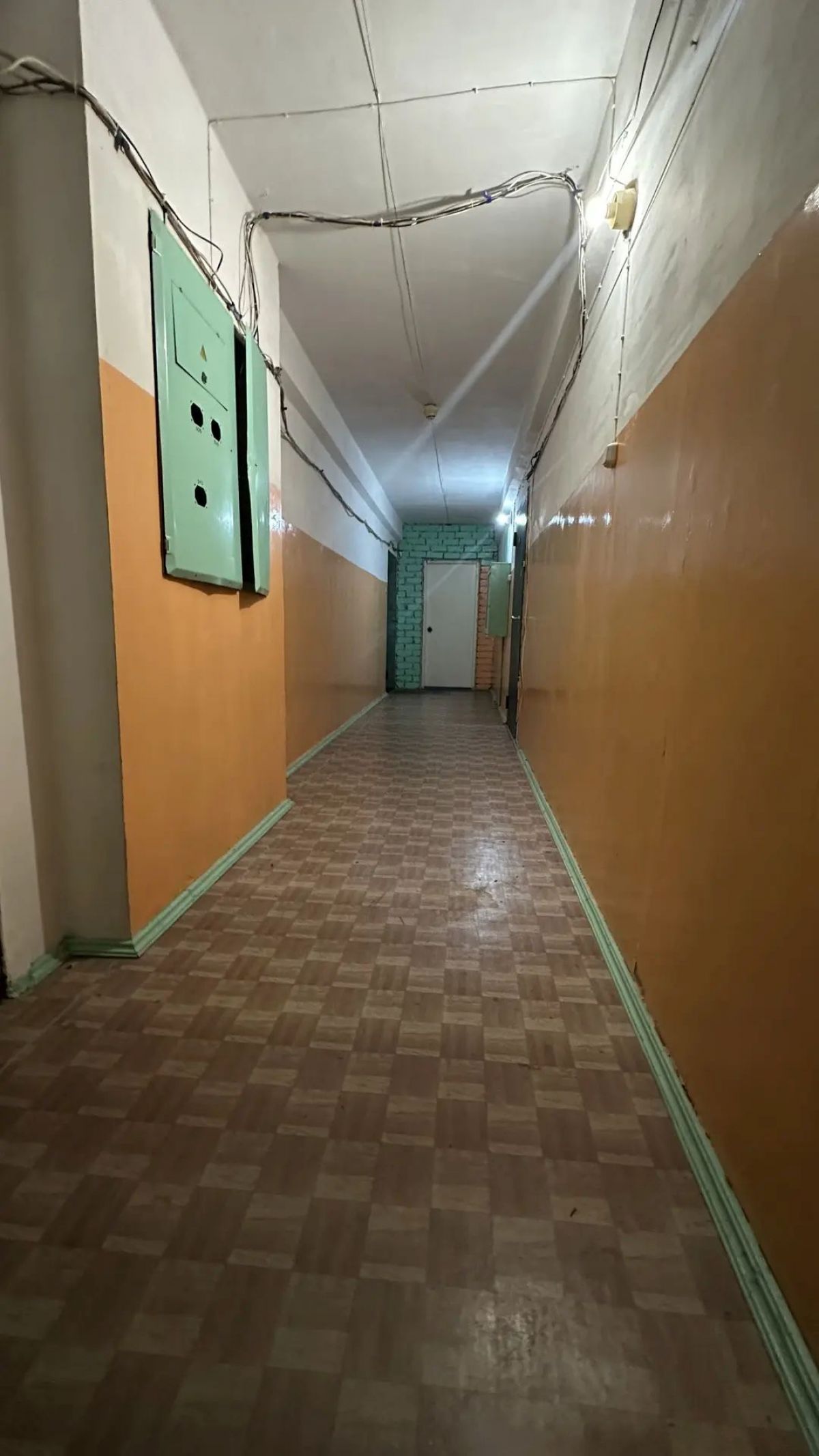 6a68b95296008.jpg