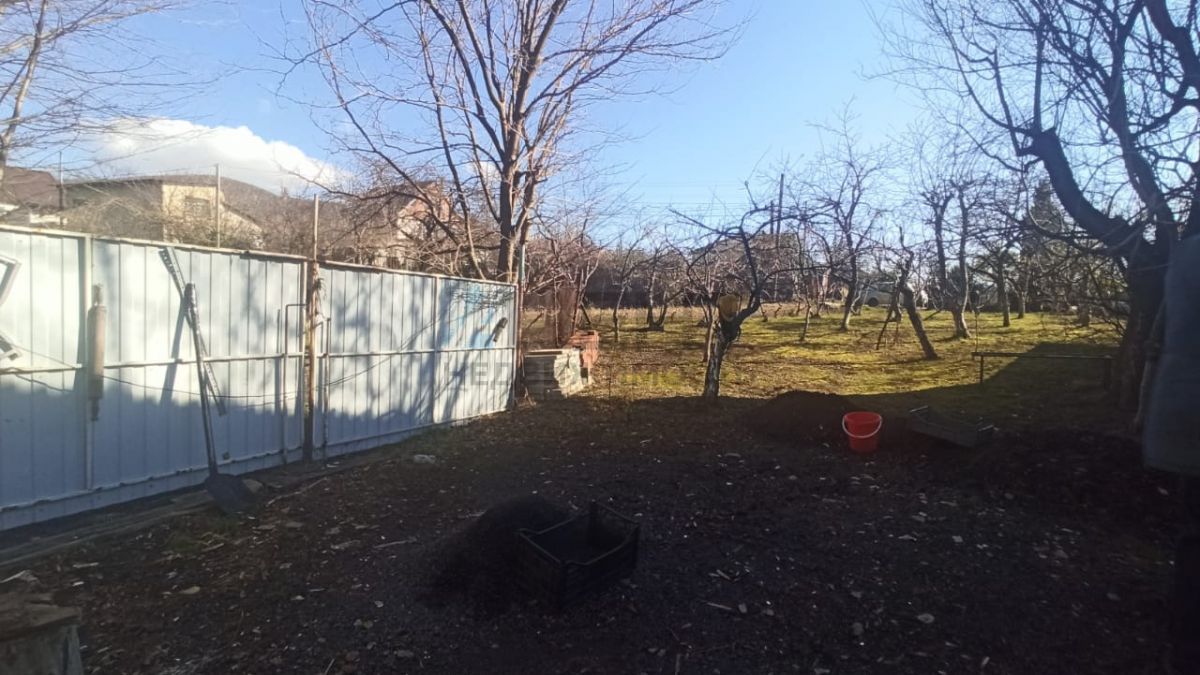 620508a6b8774.jpeg