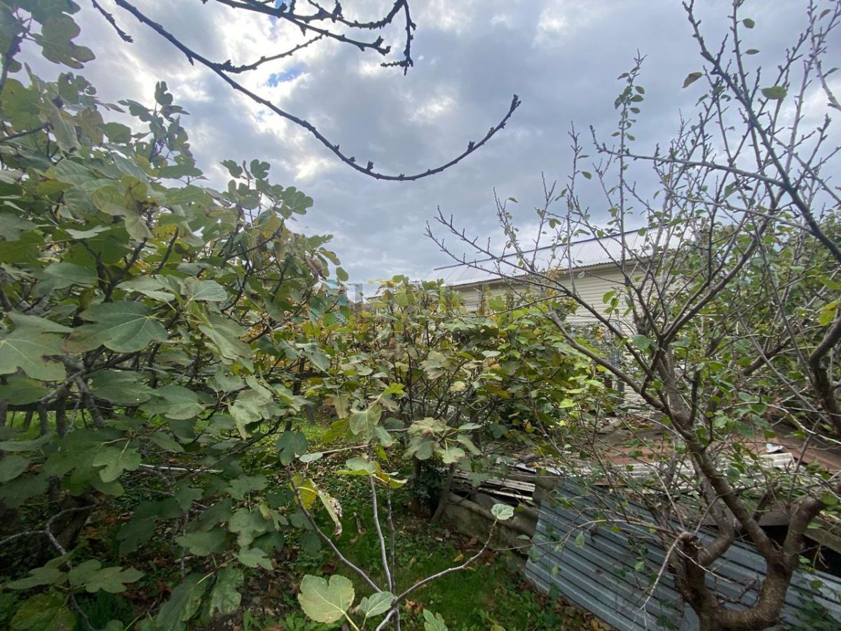 6722343d58050.jpg