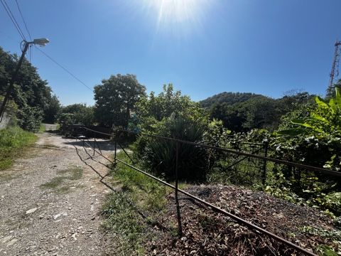 6a856022314a2.jpeg