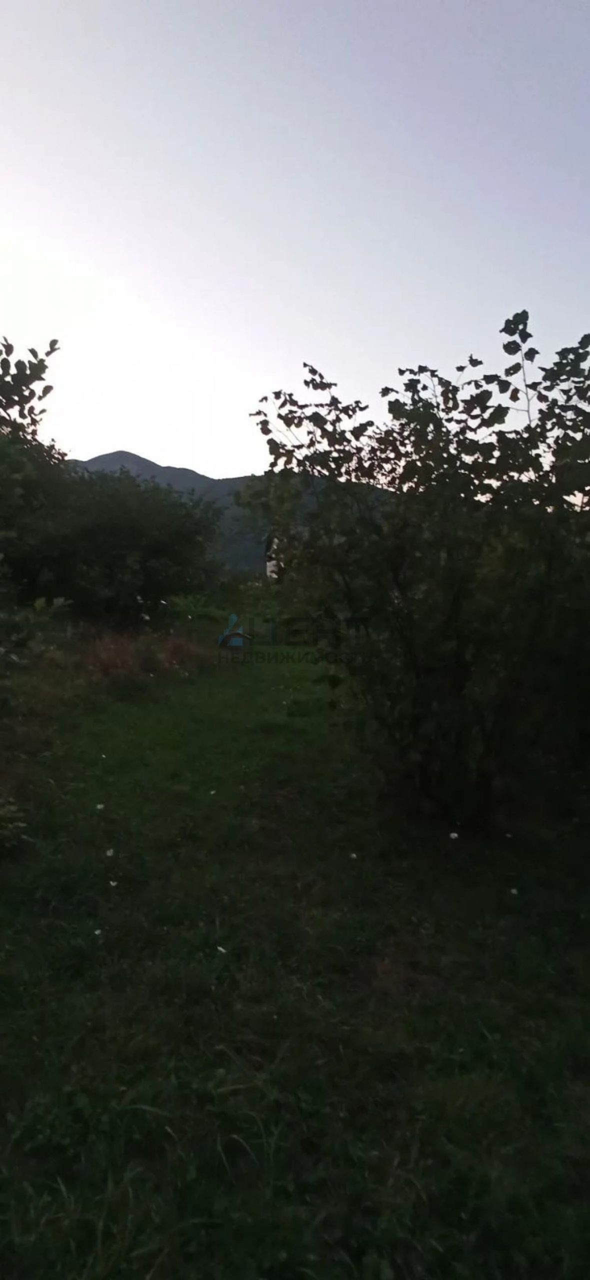 6a8802895cc03.jpg