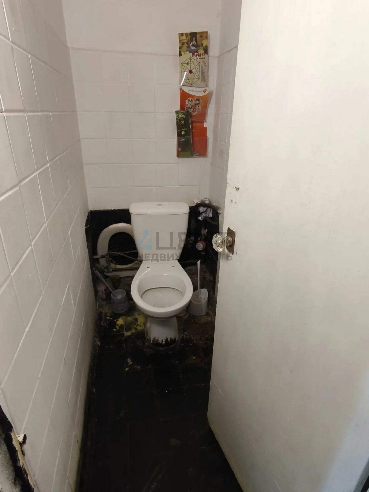 6a885d4a67d27.jpg