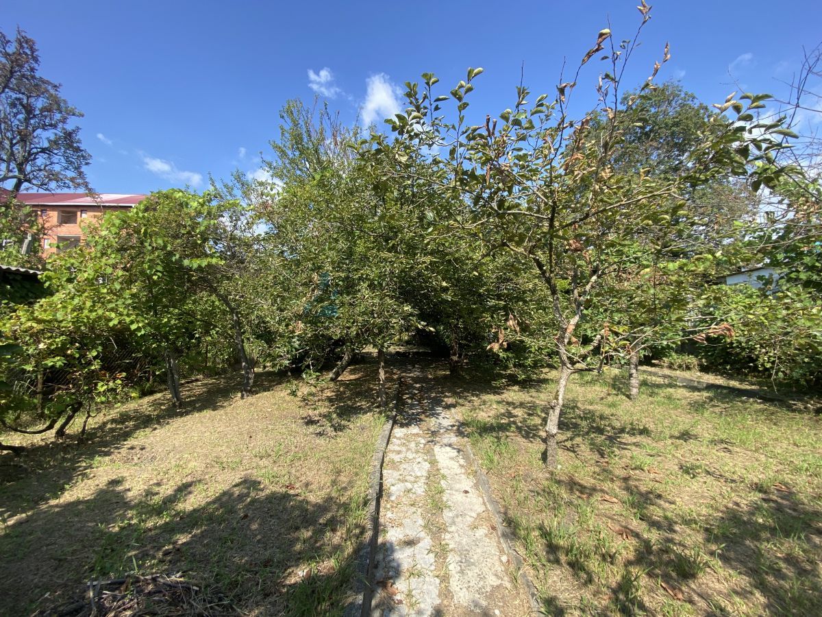 6a95926c07487.jpg