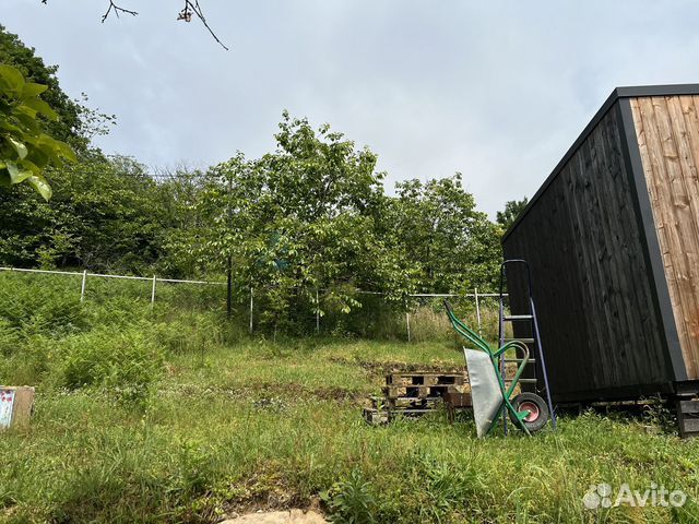 6a9ed0a3359d5.jpg