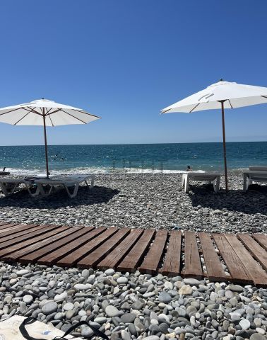 6ab65c1d4c2ad.jpg