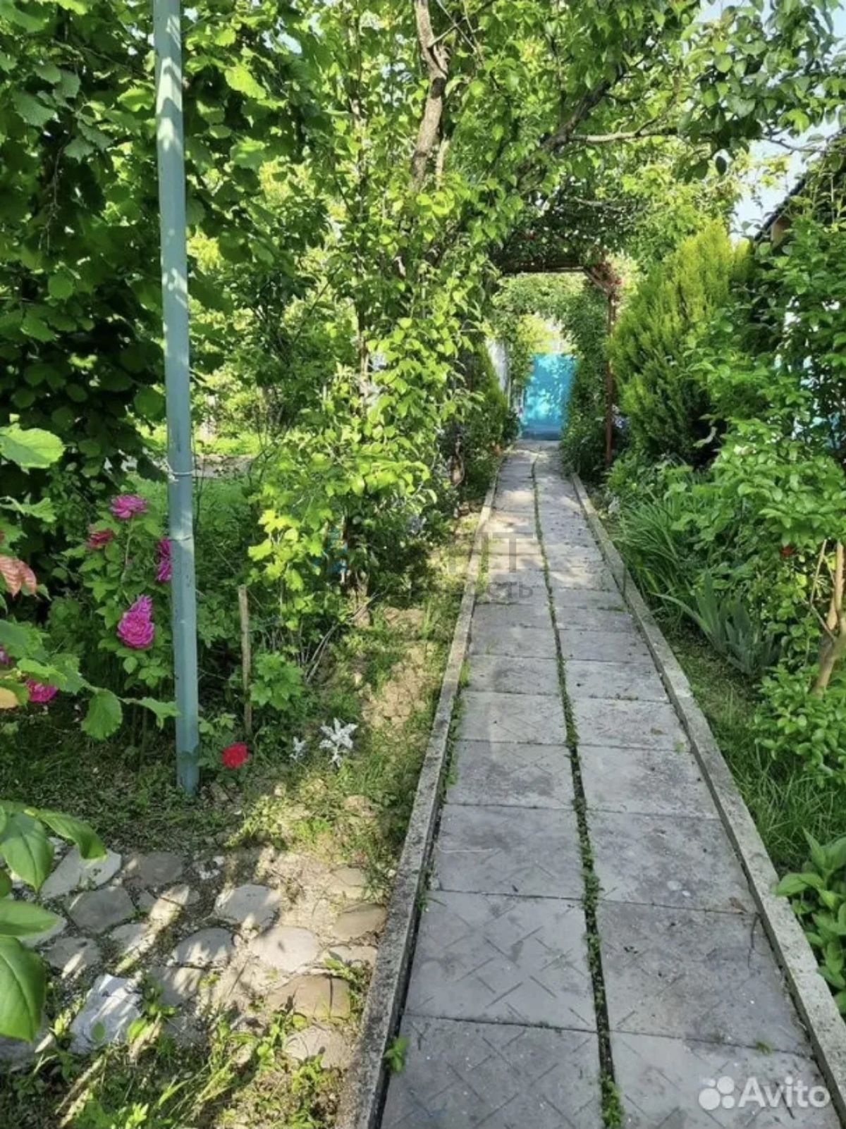 6ad07343d7b1e.jpg